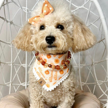 Load image into Gallery viewer, mama&#39;s mini dog bandana
