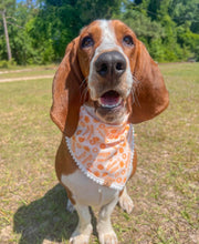 Load image into Gallery viewer, mama&#39;s mini dog bandana
