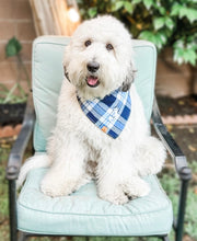 Load image into Gallery viewer, skyline flannel letterman dog bandana

