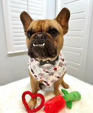 Load image into Gallery viewer, will you accept this rose dog bandana

