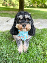 Load image into Gallery viewer, you&#39;re my soymate dog bandana

