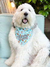 Load image into Gallery viewer, you&#39;re my soymate dog bandana
