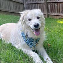 Load image into Gallery viewer, mulberry dog bandana
