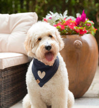 Load image into Gallery viewer, heart of america dog bandana

