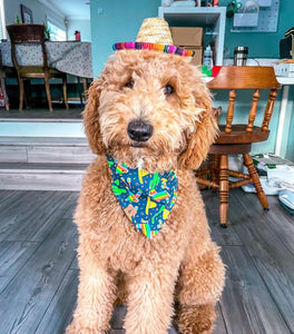 let's fiesta (dark blue) dog bandana