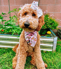 Load image into Gallery viewer, osaka delights dog bandana
