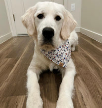 Load image into Gallery viewer, free to sparkle dog bandana
