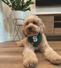 Load image into Gallery viewer, pine green letterman dog bandana
