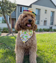 Load image into Gallery viewer, let&#39;s fiesta dog bandana
