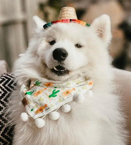 cinco de doggo dog bandana