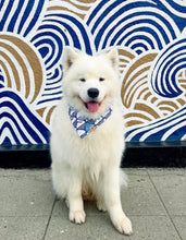 Load image into Gallery viewer, miso cat dog bandana

