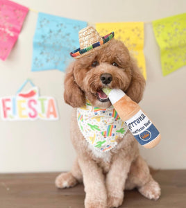 let's fiesta dog bandana