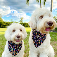 Load image into Gallery viewer, creepy crawlies dog bandana
