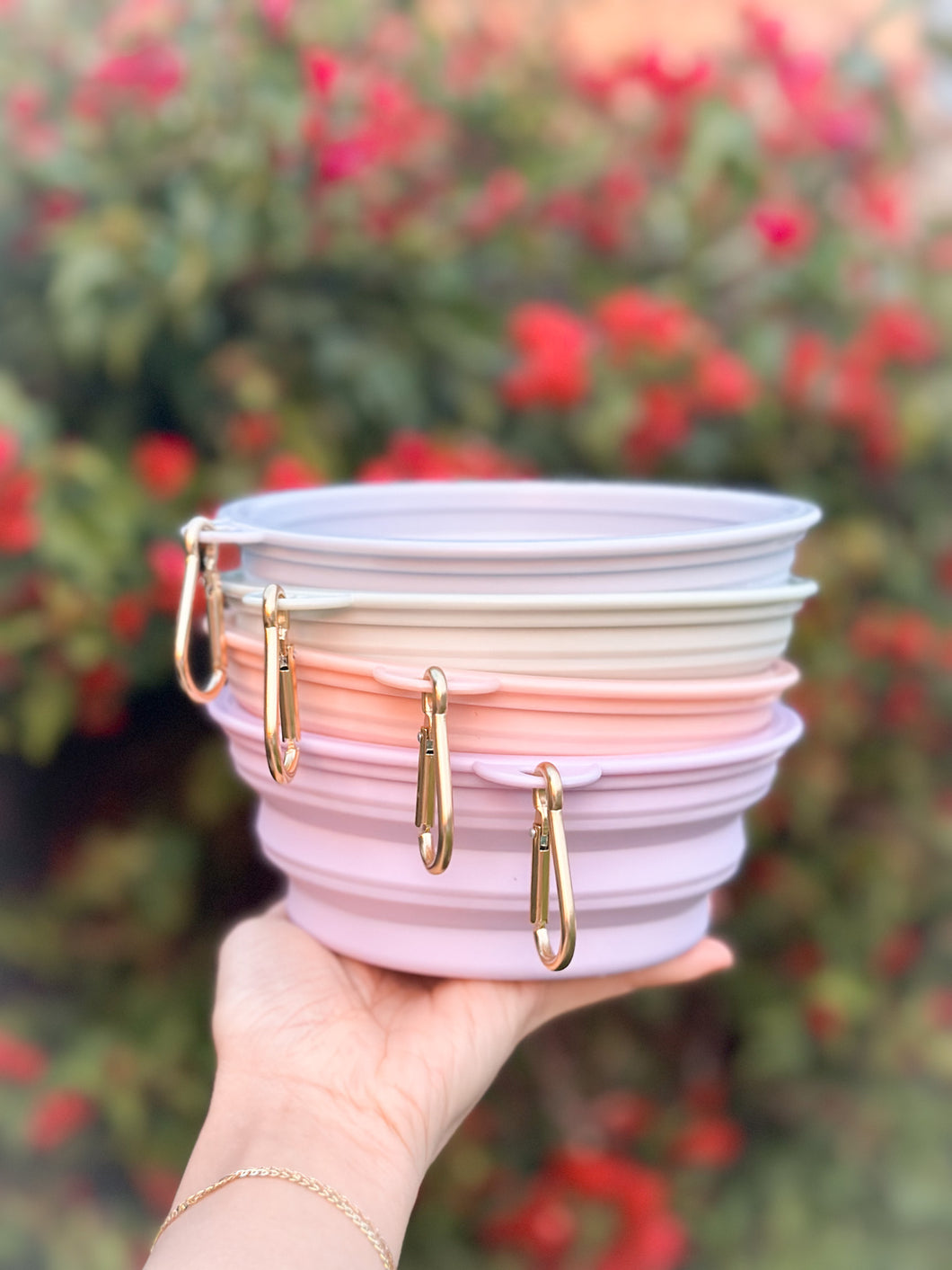 portable travel bowl