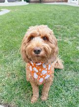 Load image into Gallery viewer, wild boo west dog bandana
