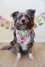 Load image into Gallery viewer, plumeria bliss dog bandana
