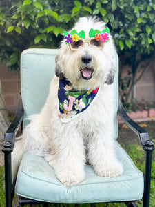 paradise pup dog bandana