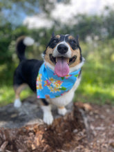 Load image into Gallery viewer, oahu dreams dog bandana
