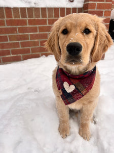 scarlet ember sherpa heart dog bandana