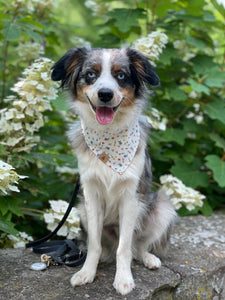 may flowers dog bandana