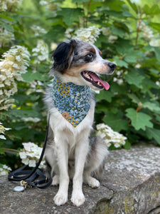 mulberry dog bandana