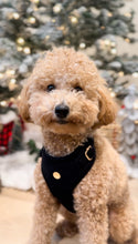 Load image into Gallery viewer, tuxedo black velvet adjustable harness
