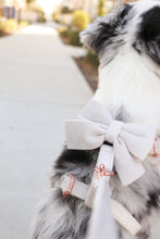Load image into Gallery viewer, pearl grey velvet walk set bundle with harness - $106 value!
