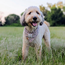 Load image into Gallery viewer, charmed blush flannel letterman dog bandana
