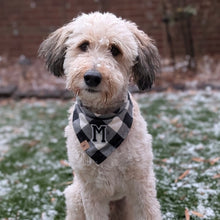 Load image into Gallery viewer, wesley flannel letterman dog bandana
