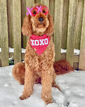 Load image into Gallery viewer, everlasting love dog bandana
