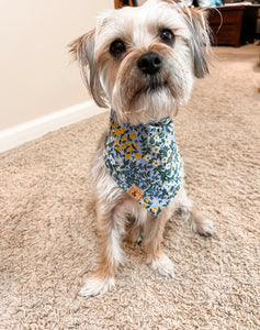 mulberry dog bandana