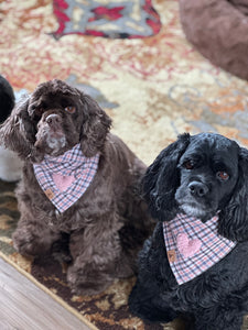 charmed blush with pink sherpa heart dog bandana