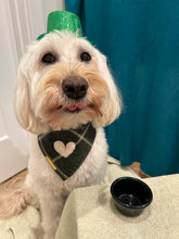 Load image into Gallery viewer, celtic plaid dog bandana
