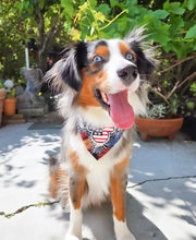 Load image into Gallery viewer, born to sparkle dog bandana
