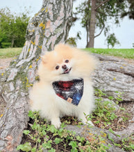 Load image into Gallery viewer, born to sparkle dog bandana
