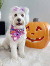 Load image into Gallery viewer, hocus pocus dog bandana
