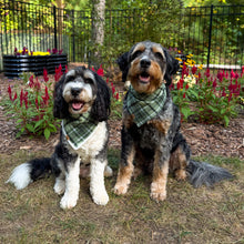 Load image into Gallery viewer, LAST CHANCE! cozy sage flannel dog bandana
