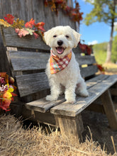 Load image into Gallery viewer, cinnamon toast flannel dog bandana
