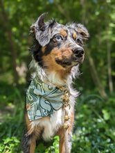 Load image into Gallery viewer, monstera mash dog bandana

