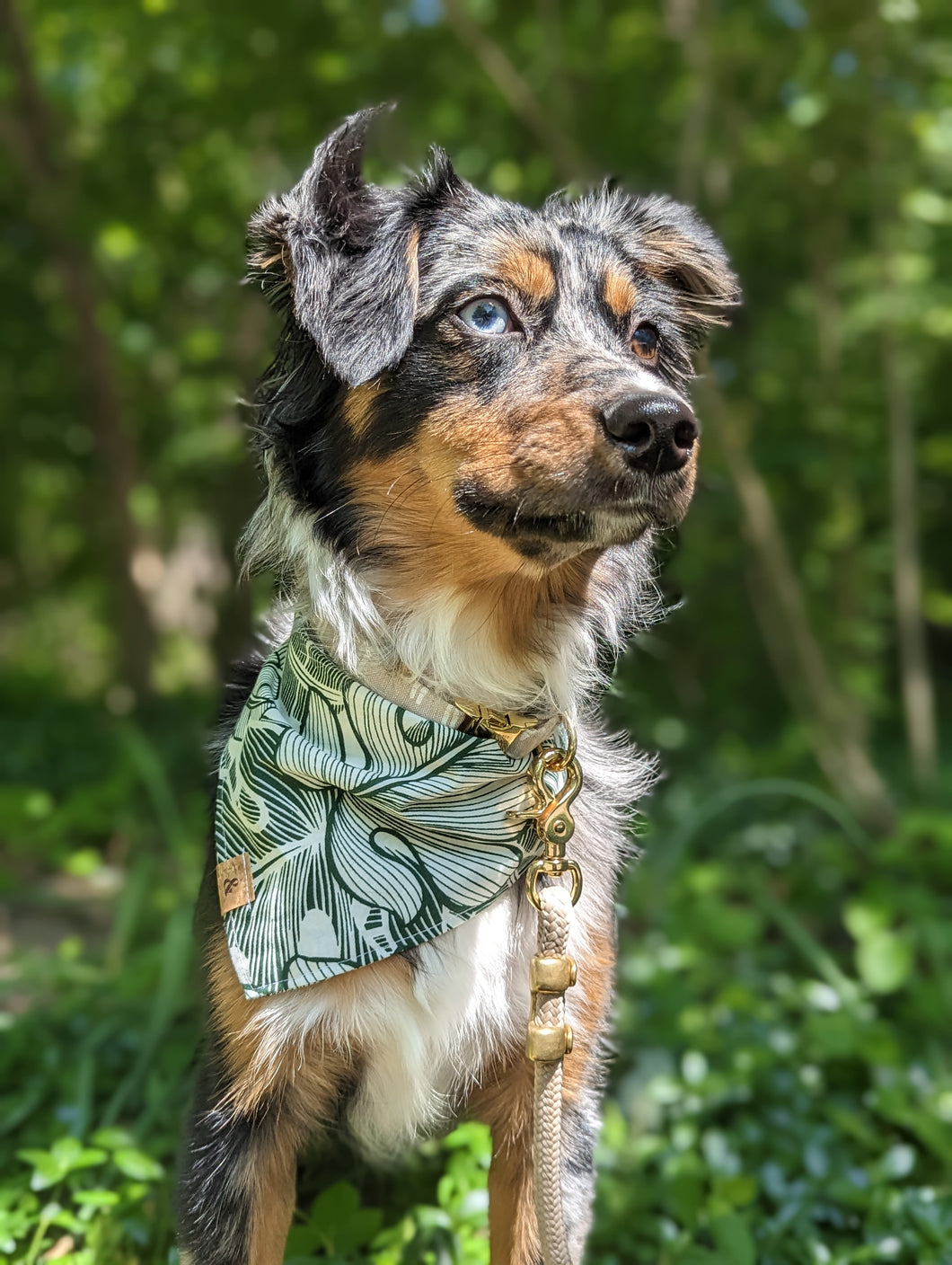 monstera mash dog bandana