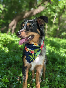 paradise pup dog bandana
