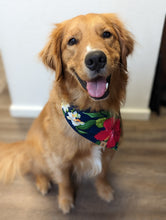Load image into Gallery viewer, paradise pup dog bandana
