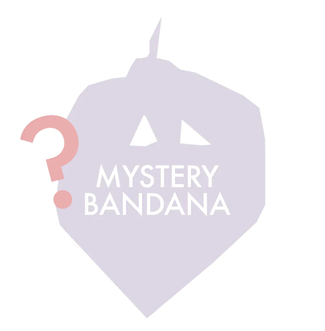 FALL mystery dog bandana