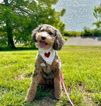Load image into Gallery viewer, may flowers dog bandana
