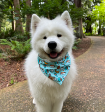 Load image into Gallery viewer, you&#39;re my soymate dog bandana
