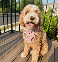 Load image into Gallery viewer, osaka delights dog bandana
