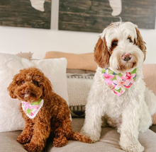 Load image into Gallery viewer, plumeria bliss dog bandana
