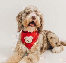 Load image into Gallery viewer, snowberry red tweed dog bandana
