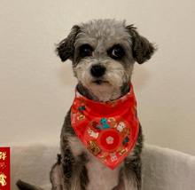 Load image into Gallery viewer, LNY lucky zodiac dog bandana
