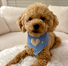 Load image into Gallery viewer, blue romance embroidered hearts dog bandana
